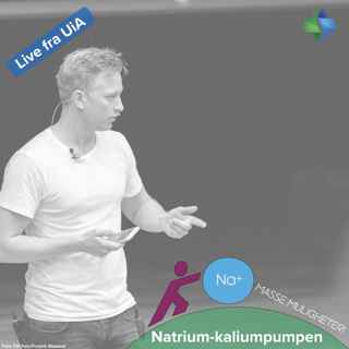 Natriumkalium-pumpa og spørreordshimmelen (forelesning ved Universitetet i Agder)