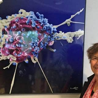 Nyttiga virus kan göra dig frisk