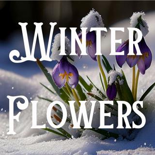 Music for Deep Sleep - Winter Flowers with Bird Song