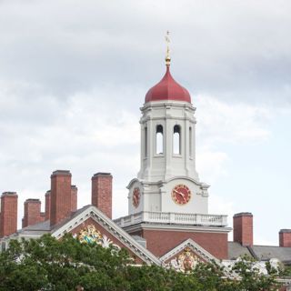 Is university the enemy of American progress?