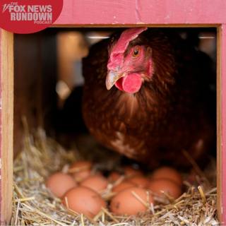 Rethinking America's Farm & Food Industries