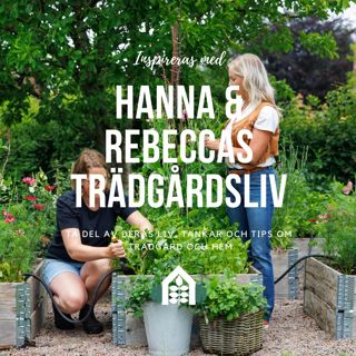 Avsnitt 103 – Planera köksträdgården
