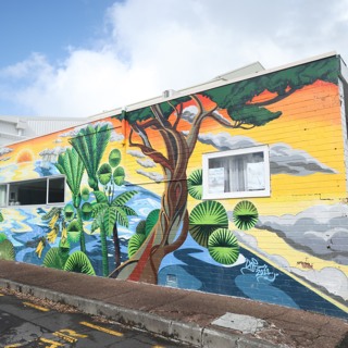 EP 378 Visiting Auckland NZ