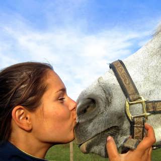 Ponnyryttaren och alkoholincidenten