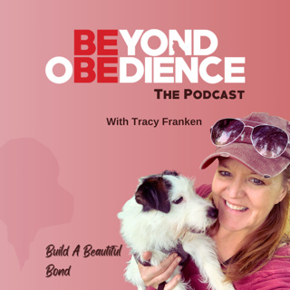 01 | Beyond Obedience The Podcast: The greatest lesson I learned