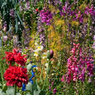 Bountiful Gardens: Edibles, Floral Bouquets & Homegrown Tea