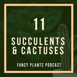 11. Succulents & Cactuses
