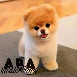 Episode 59 - Puppies!