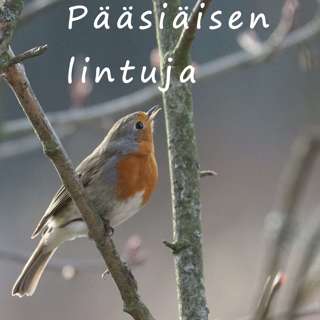 Punarinta, Jumalan pieni köyhä