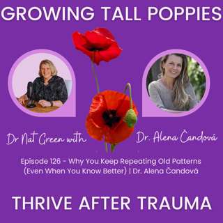 Why You Keep Repeating Old Patterns (Even When You Know Better) | Dr. Alena Čandová