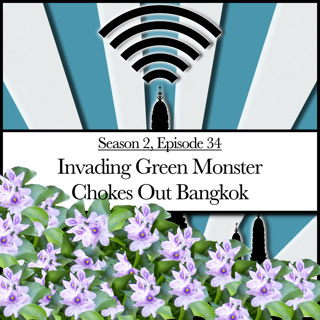 Invading Green Monster Chokes Out Bangkok (2.34)