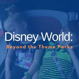 Disney World: Beyond the Theme Parks