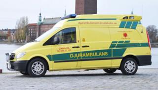 Första hjälpen vid bett