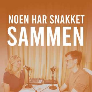 Offentlig sløsing - eller aktiv næringspolitikk?