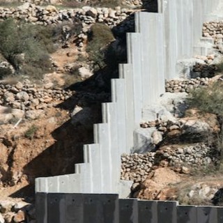 Environmental Justice in the Middle East: Activism, Resistance, and Decolonisation