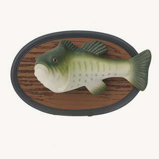 BASS SEEKERS RADIO