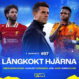 #97 - Långkokt hjärna
