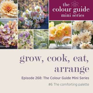 The Colour Guide Mini Series #6: The comforting palette - Episode 268