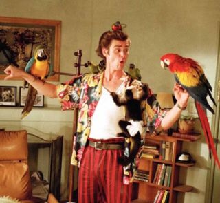 Guillermo del Toro, Lethal Weapon 5, Disaster Artist, What We Do In The Shadows, Ace Ventura, Rudy Coby, Thor