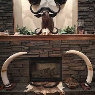 Elephant Hunting Basics