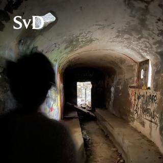 Stockholms spökstäder gläntar till det förbjudna
