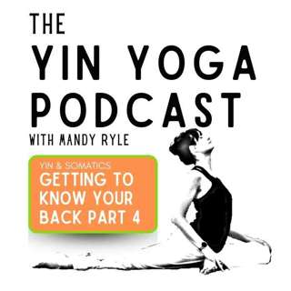 Getting to Know Your Back: Part 4