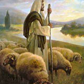 C&SI - Reflecting on vocation - Fr Chris O'Donnell - 30 April 2023 (S03E23)