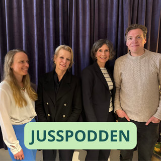 §278 Månedens dom og annet juss-knask