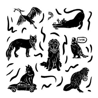 A Splendid Newfoundland, Cursing Birds, and the Fashion Fox