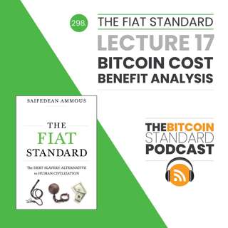 298. The Fiat Standard Lecture 17: Bitcoin Cost-Benefit Analysis
