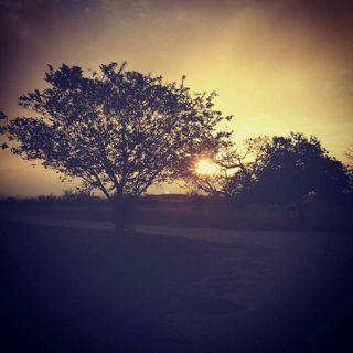 South Texas Ghosts (Campfire)