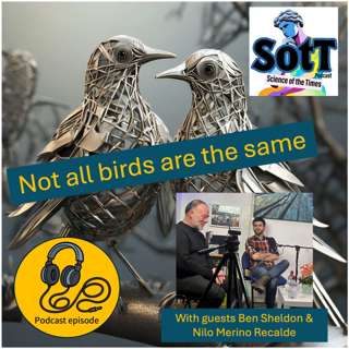 Not all birds are the same