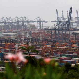 China’s economy, deportation, Pentagon, French prisons and millennial saint