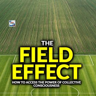The Field Effect – How To Access The Power Of Collective Consciousness
