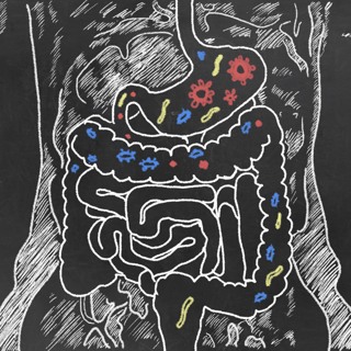 Gut Microbiome: a new target for managing human metabolic health