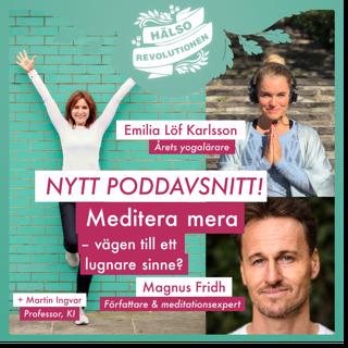 AVSNITT 15: MEDITERA MERA! Vägen till ett lugnare sinne?