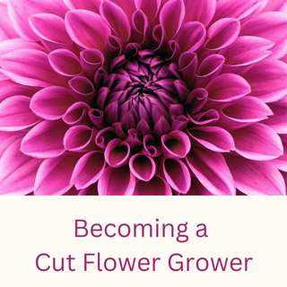Seed Sowing Has Started! Spreadsheets Are Buzzing, More Peonies Planted, Plus Plant Profile: Phlox