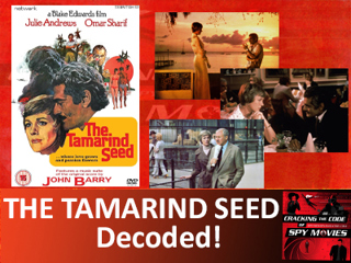 THE TAMARIND SEED - Decoded!