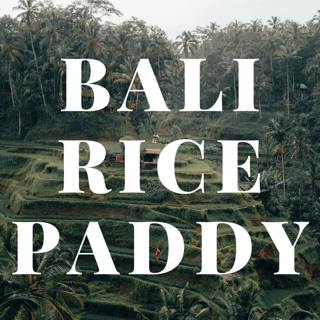 Relaxing Nature Sound of a Bali Rice Paddy to Help You Sleep - Cicadas, Frogs and Water