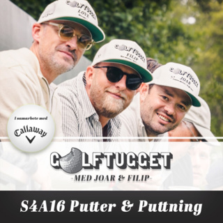 S4A16 Putter & Puttning