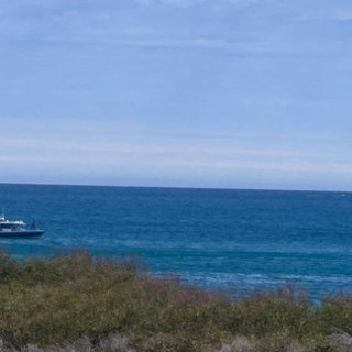 BREAKING: Suspected shark attack sparks Perth beach emergency