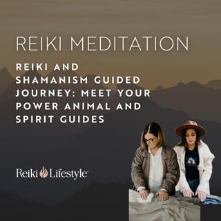 Reiki and Shamanism Guided Journey: Meet Your Power Animal and Spirit Guides