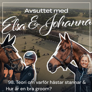 98. Teori om varför hästar stannar & Hur är en bra groom?