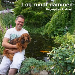 30/23: I og rundt dammen med Espen Skarphagen
