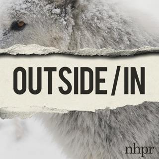 Scientists spoke up against a de-extinction company. Then the smears began.