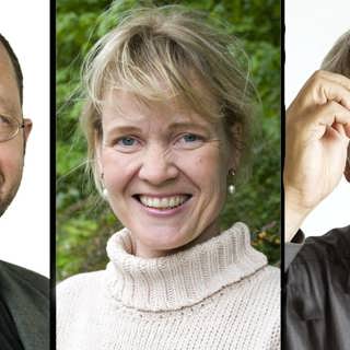 Ny teknik ökar slöjförsäljningen – Per Naroskin, Gabriella Ahlström och Jonas Hallberg i Spanarna