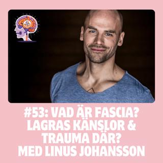 #53 Vad är fascia? Lagras känslor & trauma där? Med Linus Johansson