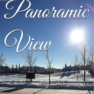 Panoramic View Volume 14 Winter by Daniel Lucas