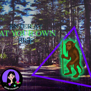 Freetown State Forest: Inside the Bridgewater Triangle’s Most Haunted Forest