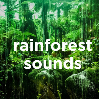 Rainforest Ambience / Rainforest Sounds to Sleep, Study or Relax (2 Hours, Loopable)